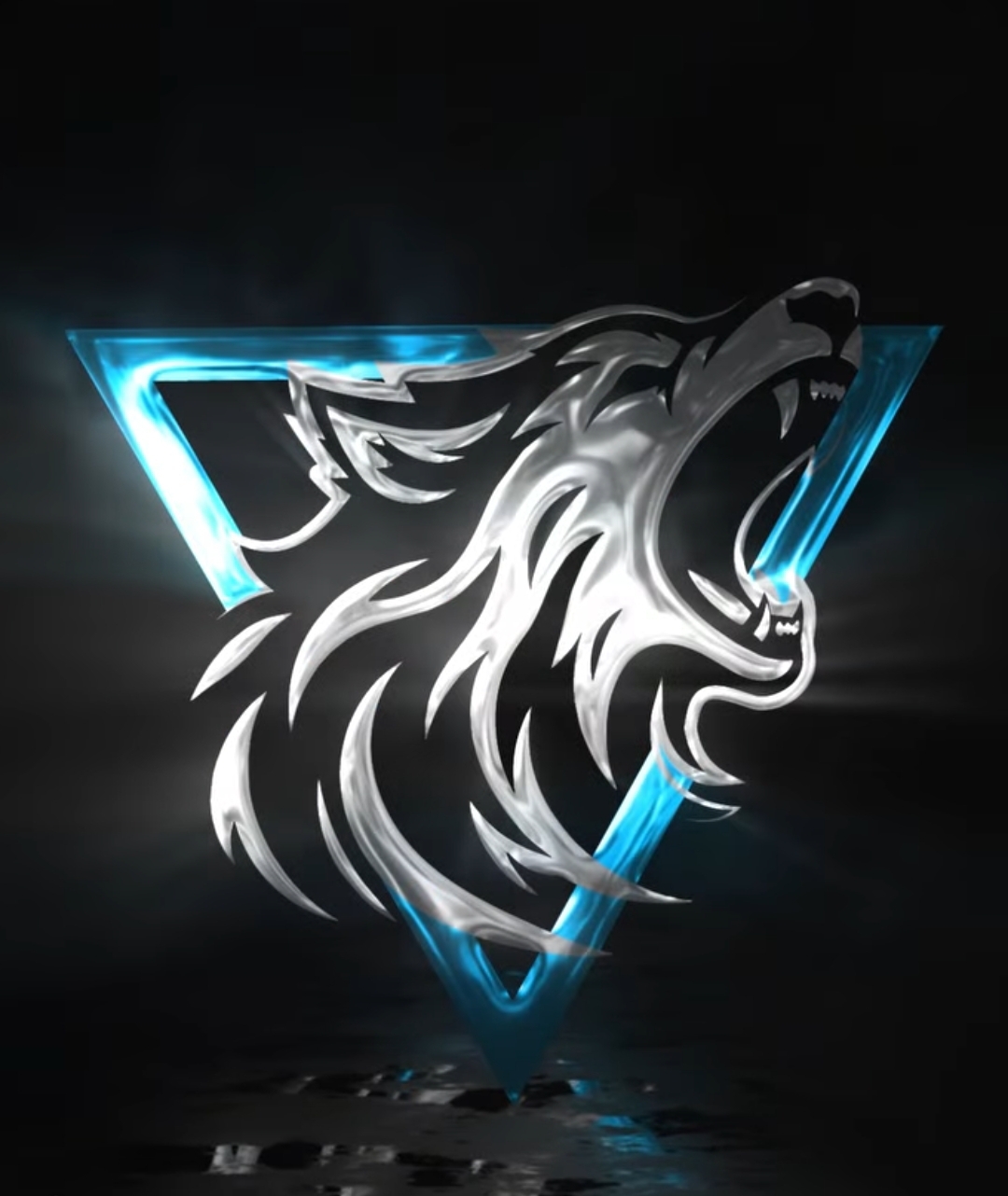Ozman Logo